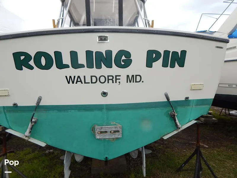 Slide: The Image of Carolina 28 1997 - 14117489