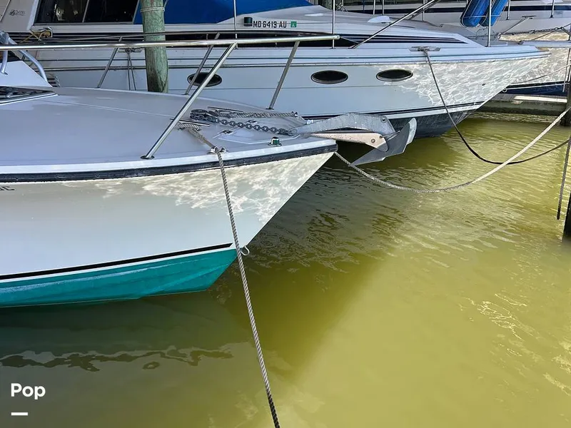 Slide: The Image of Carolina 28 1997 - 15942424