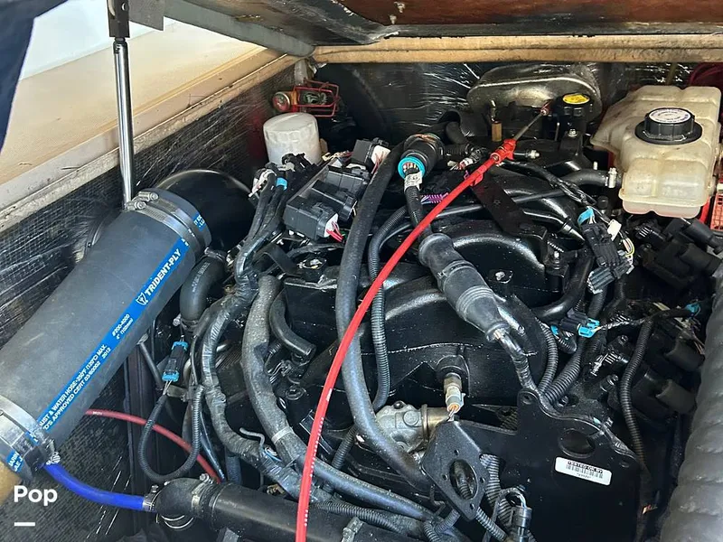 Slide: The Image of Carolina 28 1997 - 15942426