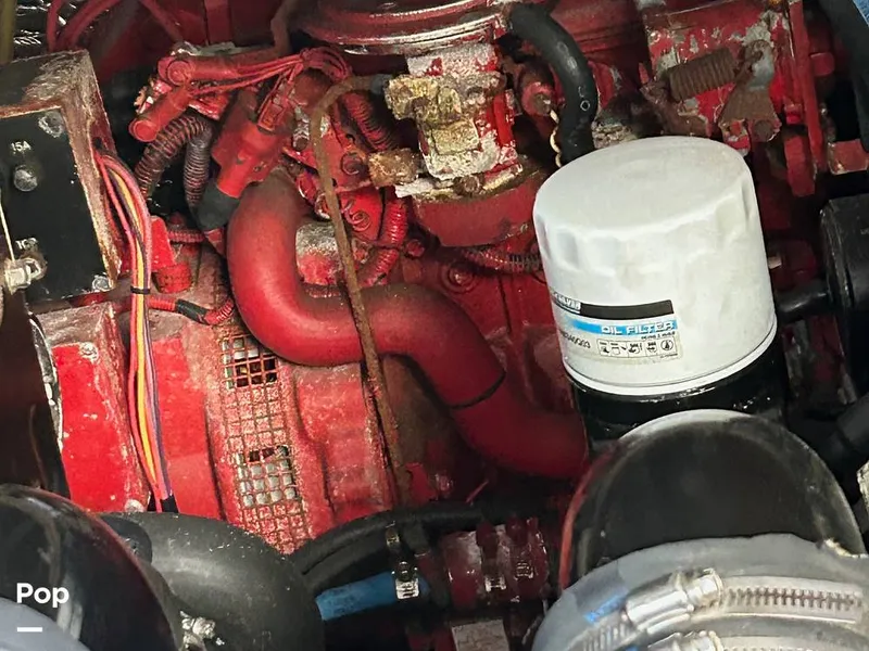 Slide: The Image of Carolina 28 1997 - 15942429