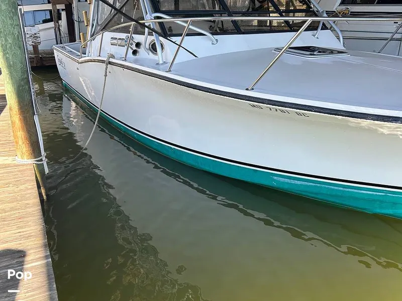 Slide: The Image of Carolina 28 1997 - 15942430