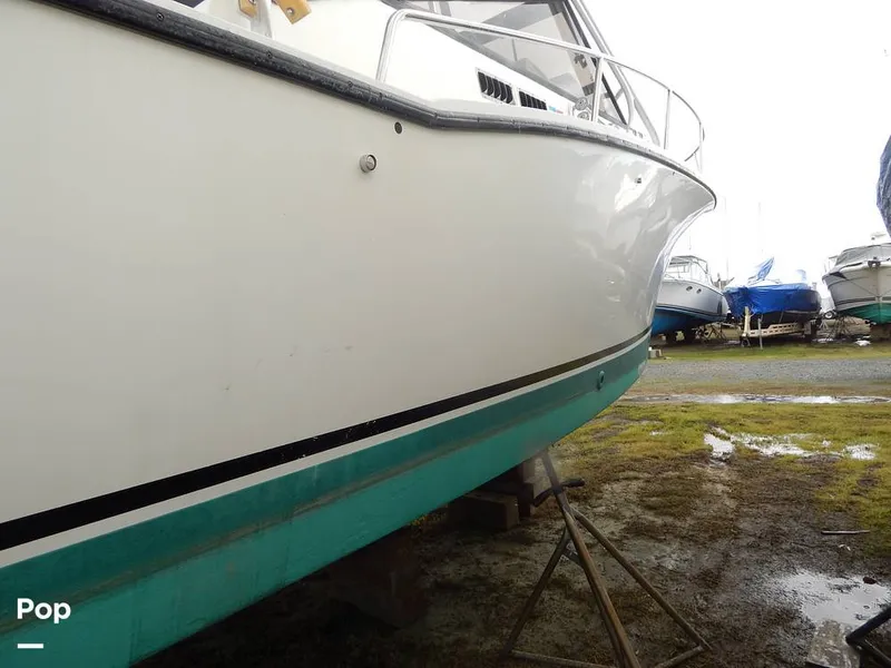 Slide: The Image of Carolina 28 1997 - 14117491