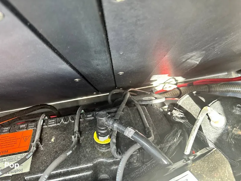 Slide: The Image of Moomba Craz 2019 - 14581437