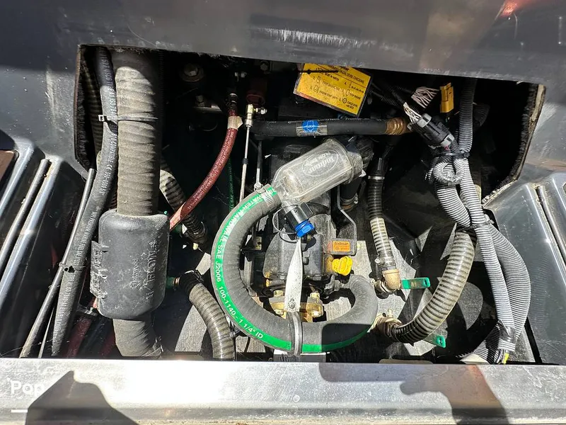 Slide: The Image of Moomba Craz 2019 - 14581441