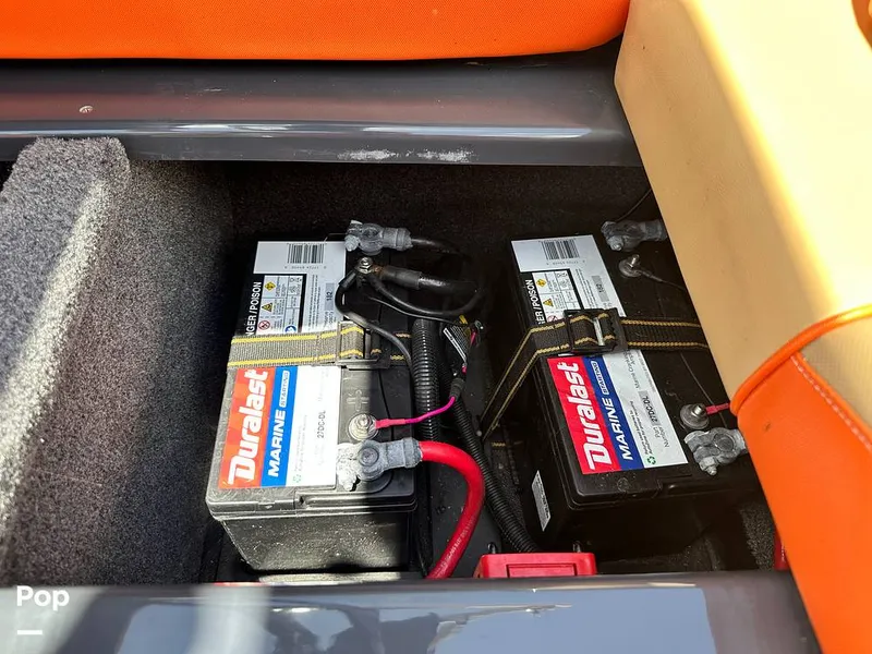 Slide: The Image of Moomba Craz 2019 - 14581456