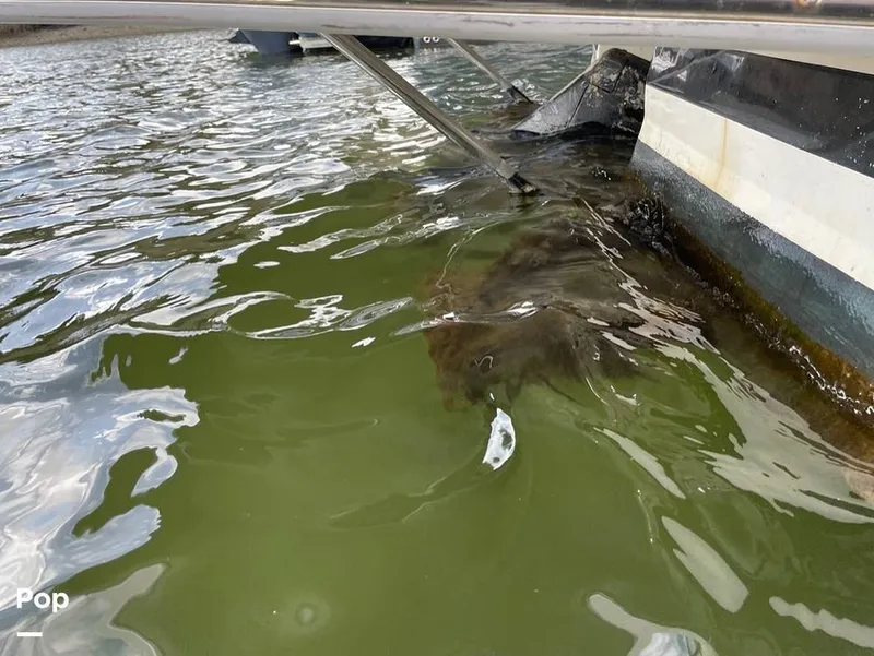 Slide: The Image of Regal Commodore 2565 Window Express 2007 - 15261736