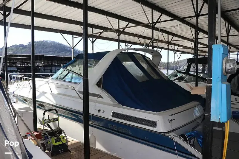 The Image of Regal Commodore 360 1991 - 14208351