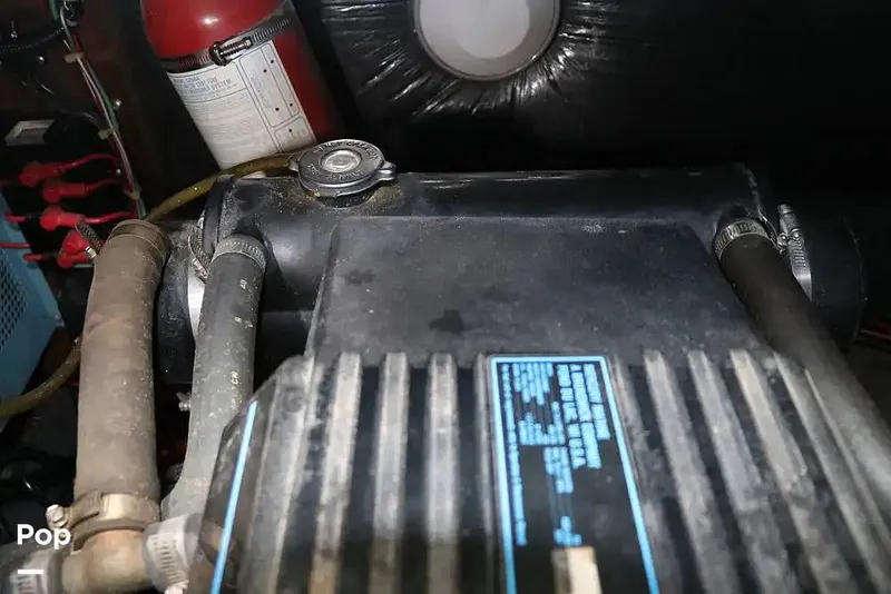 Slide: The Image of Regal Commodore 360 1991 - 14209607