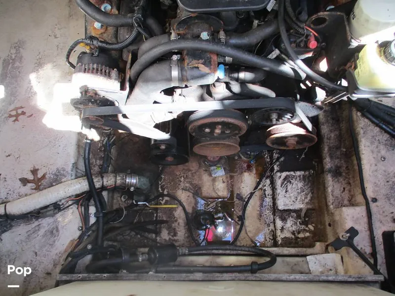 Slide: The Image of Sea Ray 240 Sundancer 2003 - 14059815