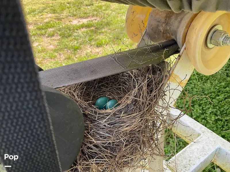 Slide: The Image of Nitro 929 CDX 2004 - 14110015