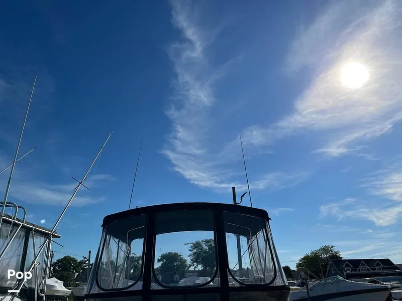 Slide: The Image of Silverton 34 Convertible 1990 - 14099293