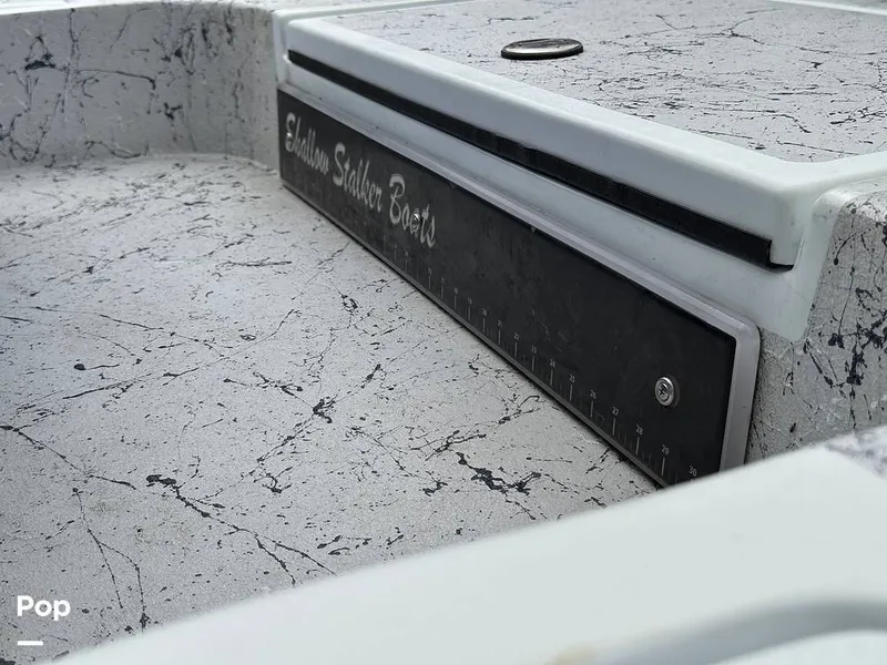 Slide: The Image of Shallow Stalker Cat 240 Pro 2020 - 14166724