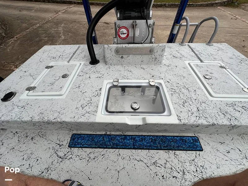 Slide: The Image of Shallow Stalker Cat 240 Pro 2020 - 14166739