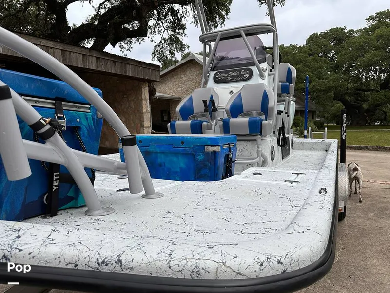 Slide: The Image of Shallow Stalker Cat 240 Pro 2020 - 14166768