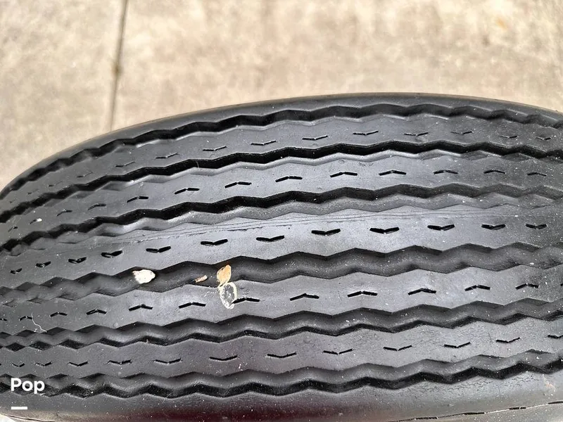 Slide: The Image of Shallow Stalker Cat 240 Pro 2020 - 14166776