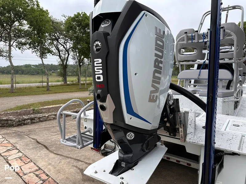 Slide: The Image of Shallow Stalker Cat 240 Pro 2020 - 14166810