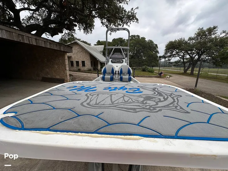 Slide: The Image of Shallow Stalker Cat 240 Pro 2020 - 14166780