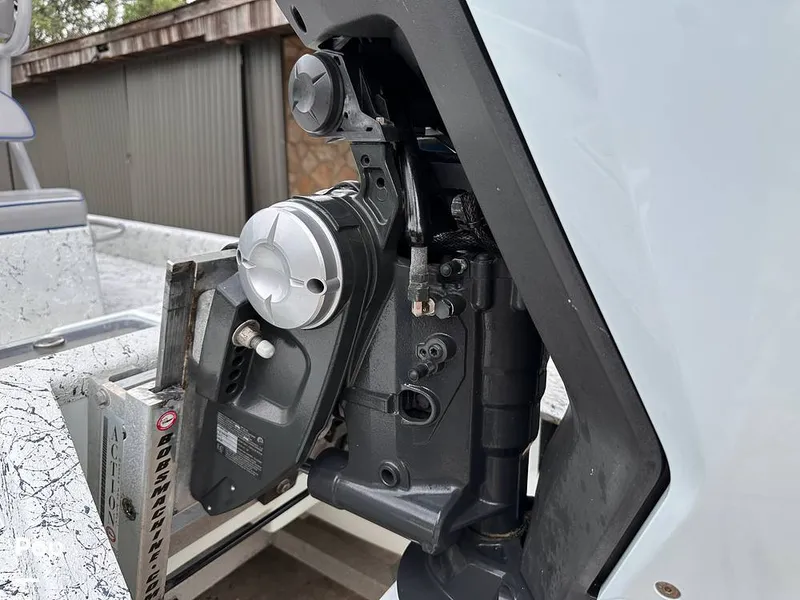 Slide: The Image of Shallow Stalker Cat 240 Pro 2020 - 14166801