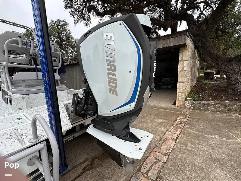 Slide: The Image of Shallow Stalker Cat 240 Pro 2020 - 14166803