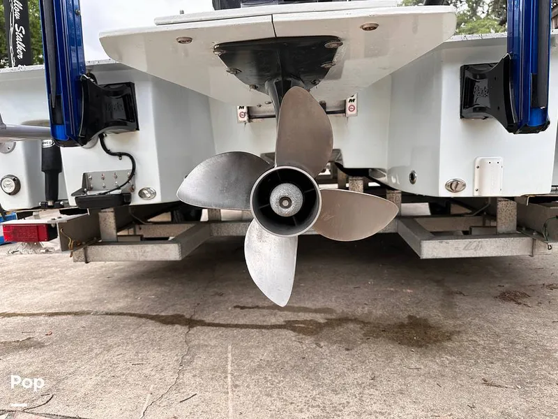 Slide: The Image of Shallow Stalker Cat 240 Pro 2020 - 14166809