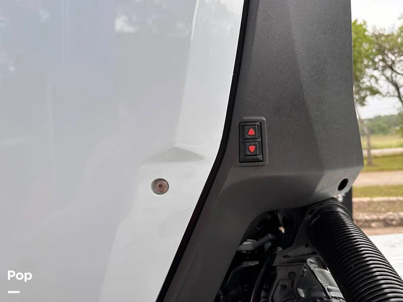 Slide: The Image of Shallow Stalker Cat 240 Pro 2020 - 14166812