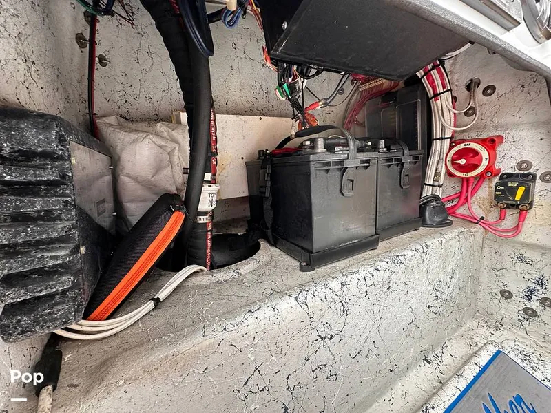 Slide: The Image of Shallow Stalker Cat 240 Pro 2020 - 14166815