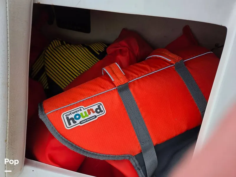 Slide: The Image of Rinker 21QX 2018 - 15311043