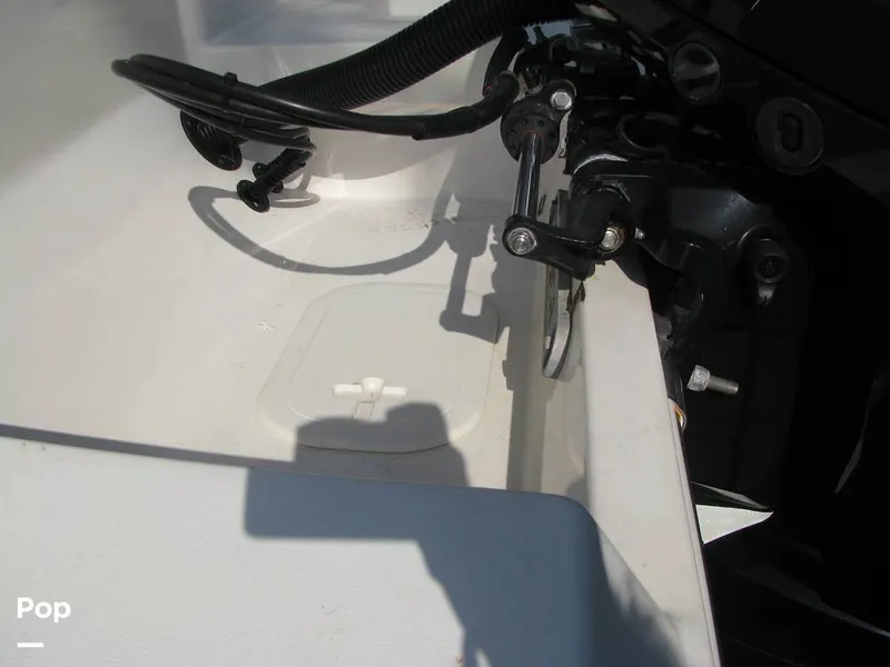Slide: The Image of Cobia 220 CC 2020 - 14169906