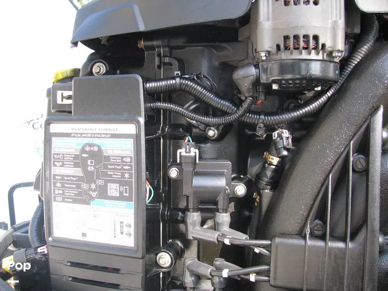 Slide: The Image of Cobia 220 CC 2020 - 14169910