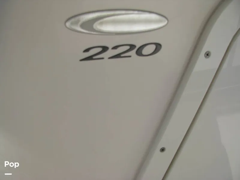 Slide: The Image of Cobia 220 CC 2020 - 14169950