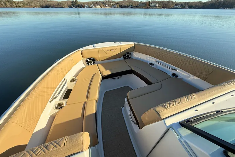 Slide: The Image of Sea Ray SDX 230 2026 - 28