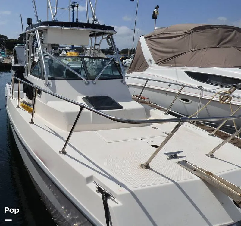 Slide: The Image of Sea Cat SL5 1996 - 14252078