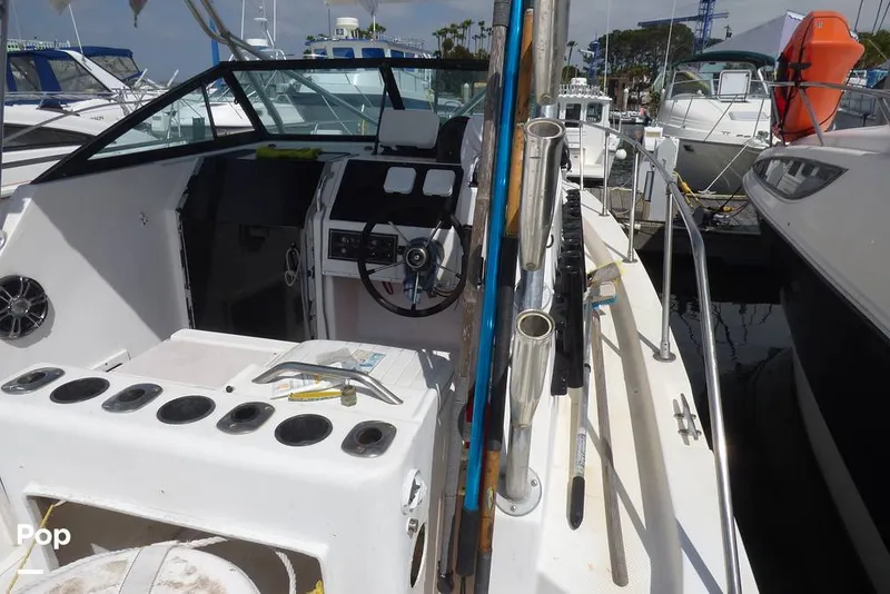 Slide: The Image of Sea Cat SL5 1996 - 14252084