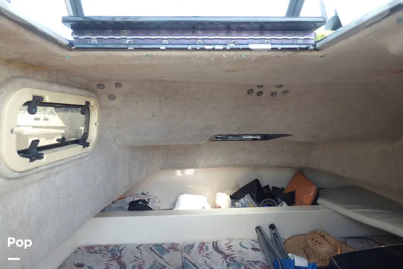 Slide: The Image of Sea Cat SL5 1996 - 14252103