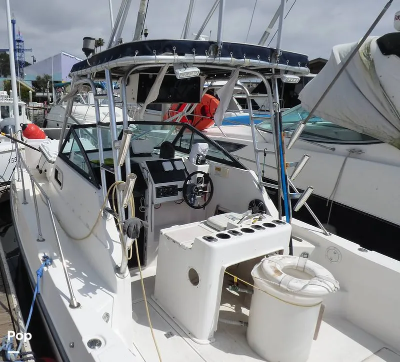 Slide: The Image of Sea Cat SL5 1996 - 14252061