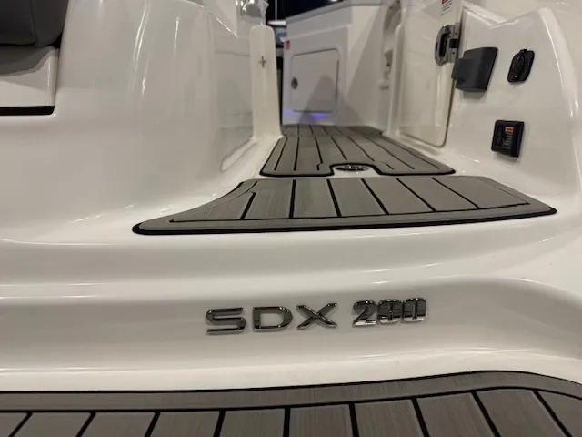 Slide: The Image of Sea Ray SDX 290 2026 - 5
