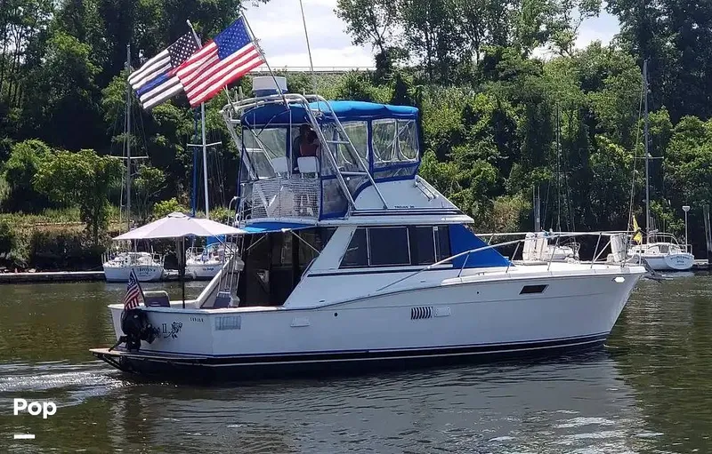 The Image of Trojan F-36 1978 - 14209416