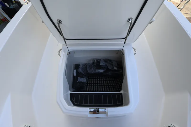 Slide: The Image of Boston Whaler 220 Dauntless 2026 - 23