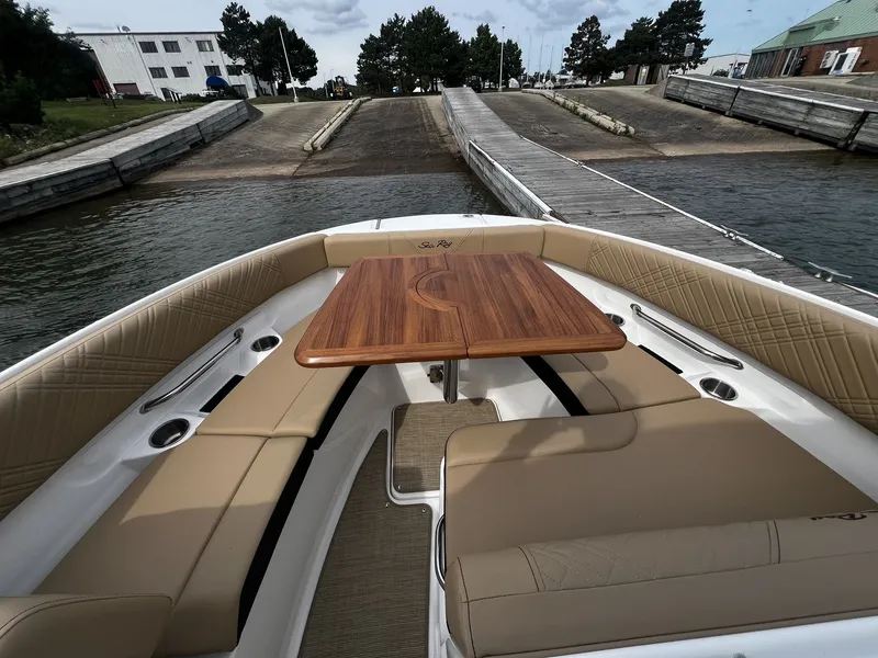 Slide: The Image of Sea Ray SDX 250 2026 - 15