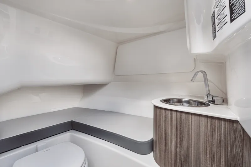 Slide: The Image of Sea Ray SDX 250 2026 - 50