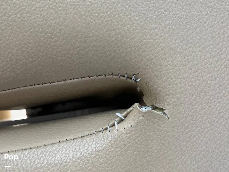 Slide: The Image of Trophy T24 CC 2023 - 14230888