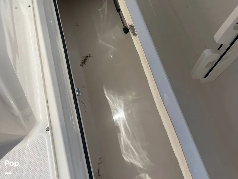 Slide: The Image of Trophy T24 CC 2023 - 14231093