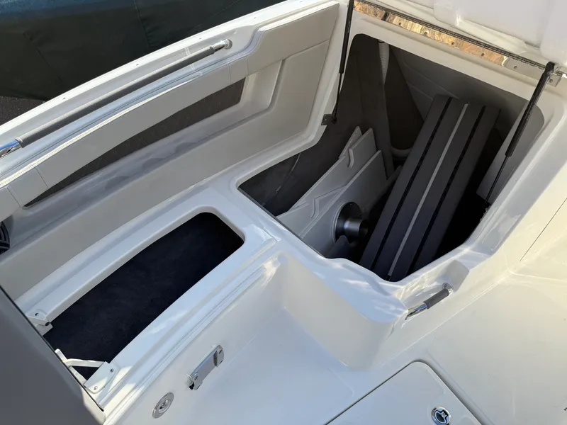 Slide: The Image of Sea Ray SLX 310 2026 - 39