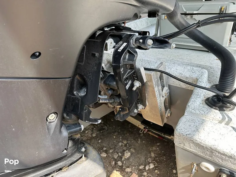 Slide: The Image of Jack plate - 14242211