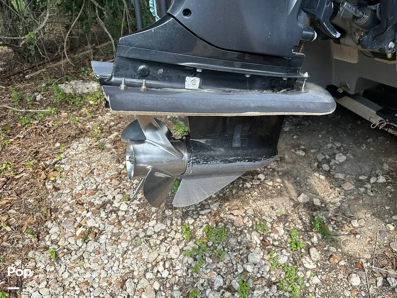 Slide: The Image of Whale Tail - 14242215