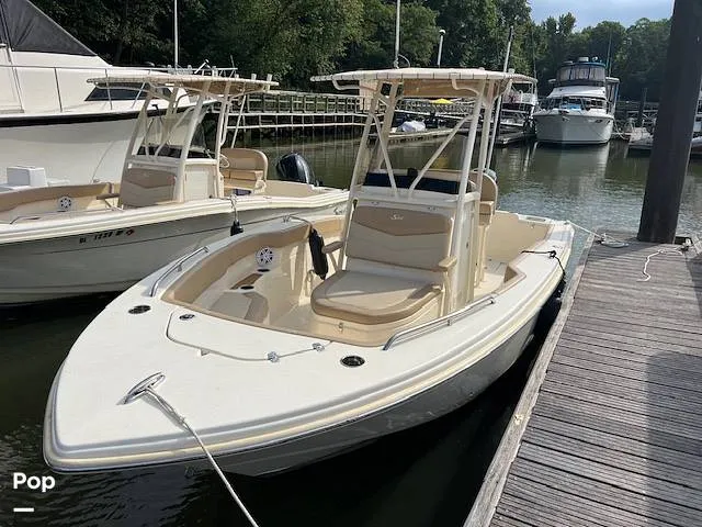 The Image of Scout 215 XSF 2023 - 14654779