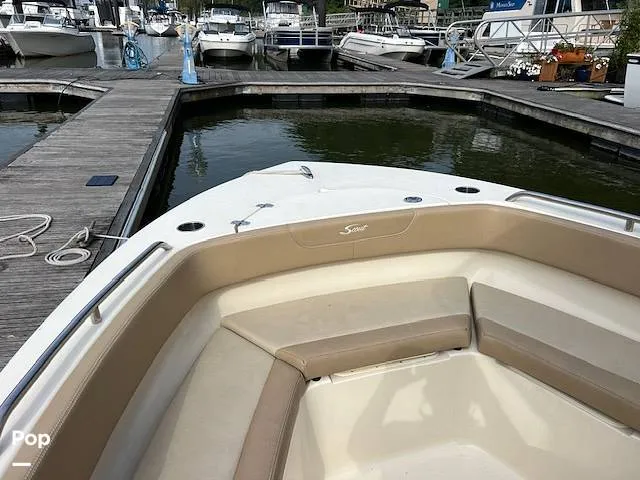 Slide: The Image of Scout 215 XSF 2023 - 14654803