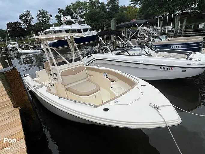 Slide: The Image of Scout 215 XSF 2023 - 15684260