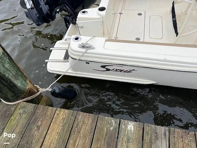 Slide: The Image of Scout 215 XSF 2023 - 14207204