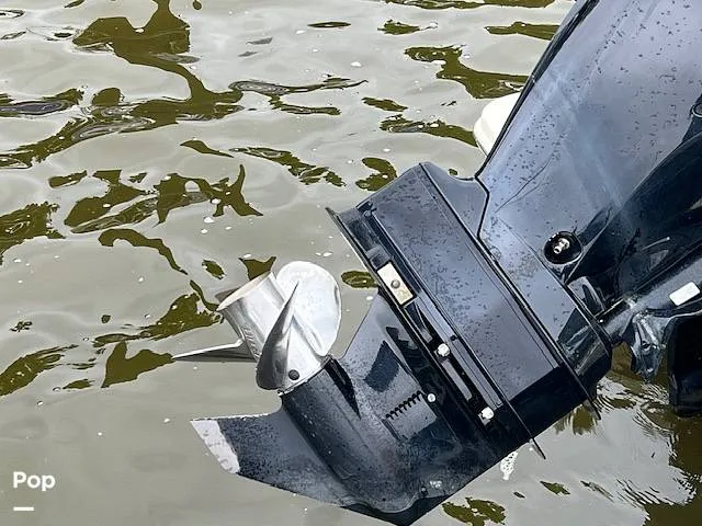 Slide: The Image of Scout 215 XSF 2023 - 14207207